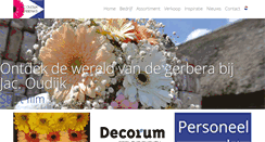 Desktop Screenshot of jacoudijk.nl
