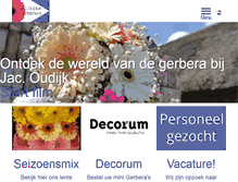 Tablet Screenshot of jacoudijk.nl